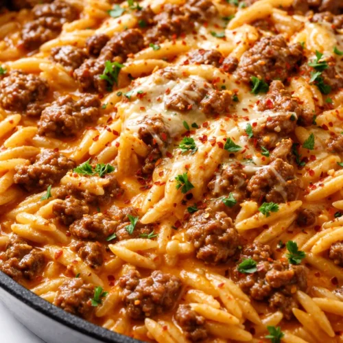 Ground beef orzo in a rich tomato cream sauce with creamy texture, al dente pasta, and savory browned beef.