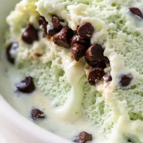 Creamy green mint chip ice cream with dark chocolate chips in a white bowl, showing smooth texture and chocolate flecks