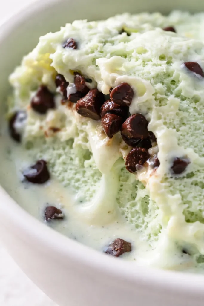 Creamy green mint chip ice cream with dark chocolate chips in a white bowl, showing smooth texture and chocolate flecks